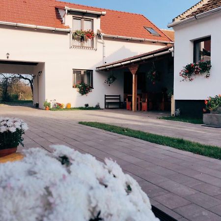 فندق Riu Albفي  Casa Badea المظهر الخارجي الصورة